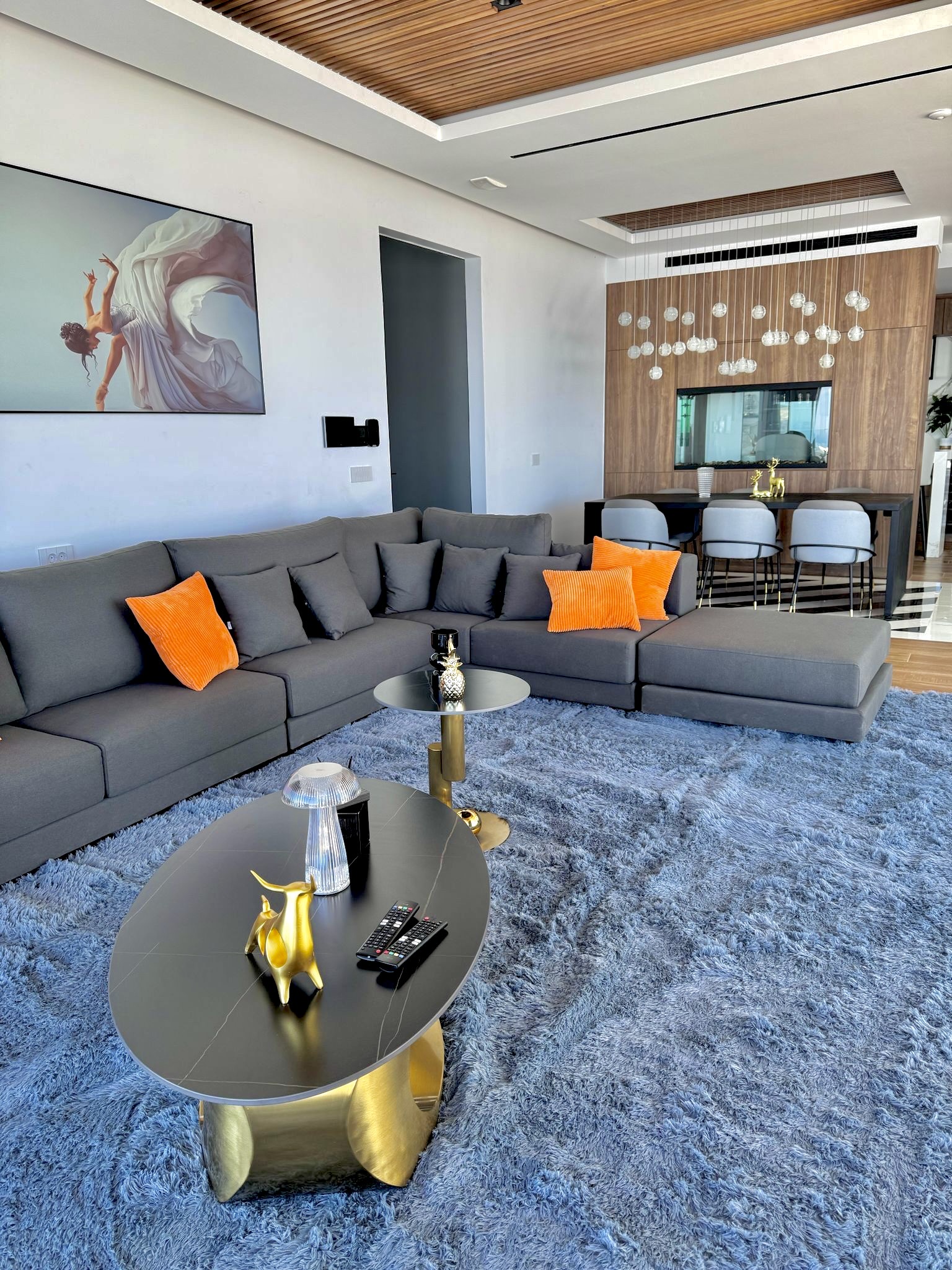 sophisti furniture (11)